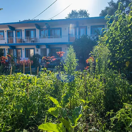 Hotel Balalayka Butik 3*