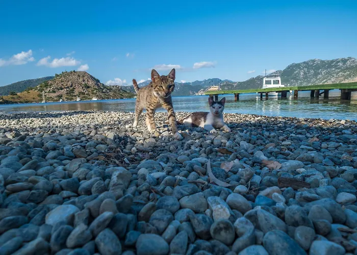 Balalayka Butik Hotel