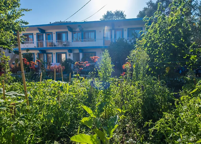 Hotel Balalayka Butik 3*